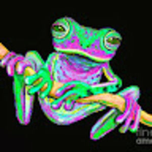 Meet your Posher, Froggy